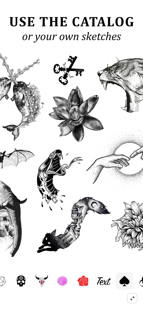Tattoo design catalog featuring black ink sketches of animals flowers and artistic symbols