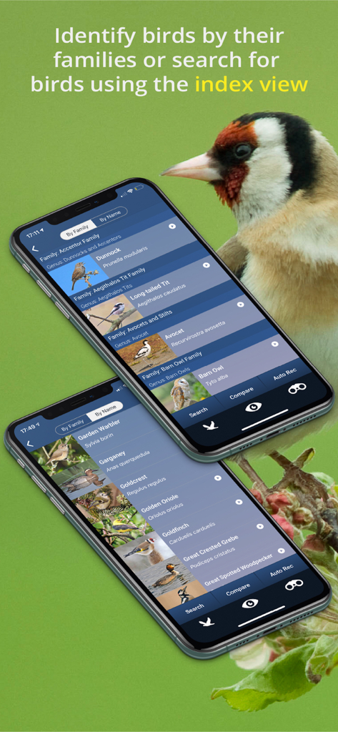 Bird Song Id UK - Interfaccia dell'app mobile Bird Song Id UK che mostra elenchi di uccelli ordinati per famiglia e nome