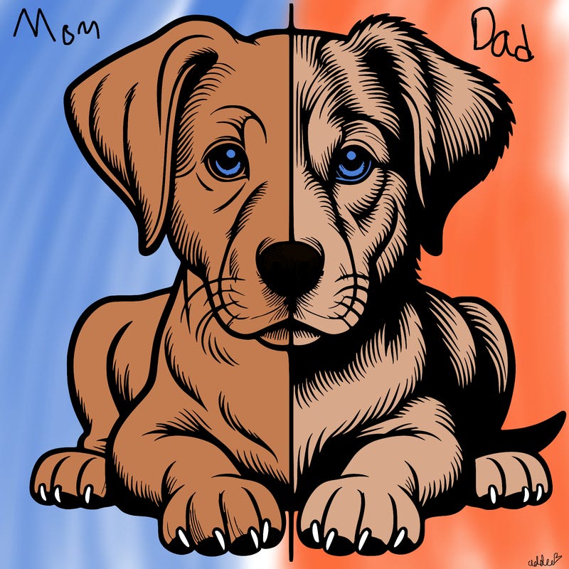 realistic dog split picture