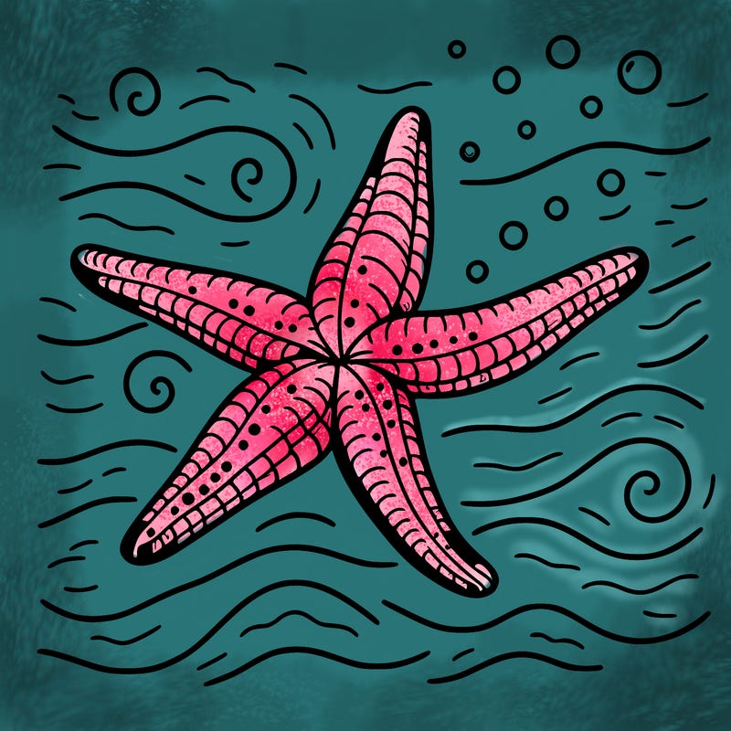 flying starfish