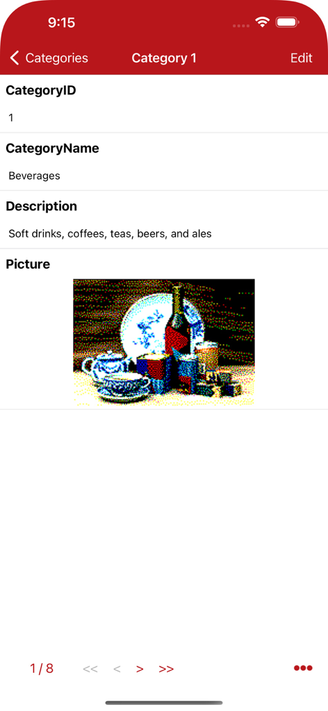 A detailed record view in the MS Access database manager app showing category details and an associated image.