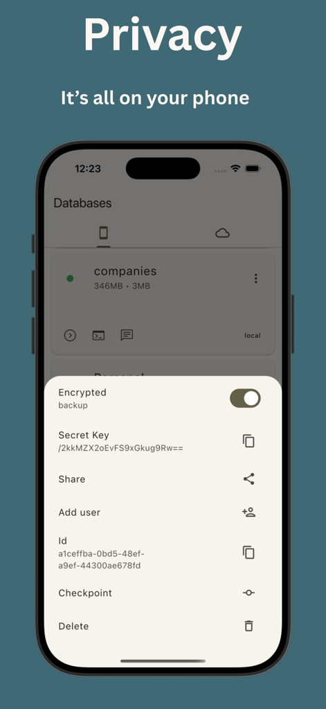 PhoneSQL app interface showing privacy and security features including local storage and encrypted backup options.