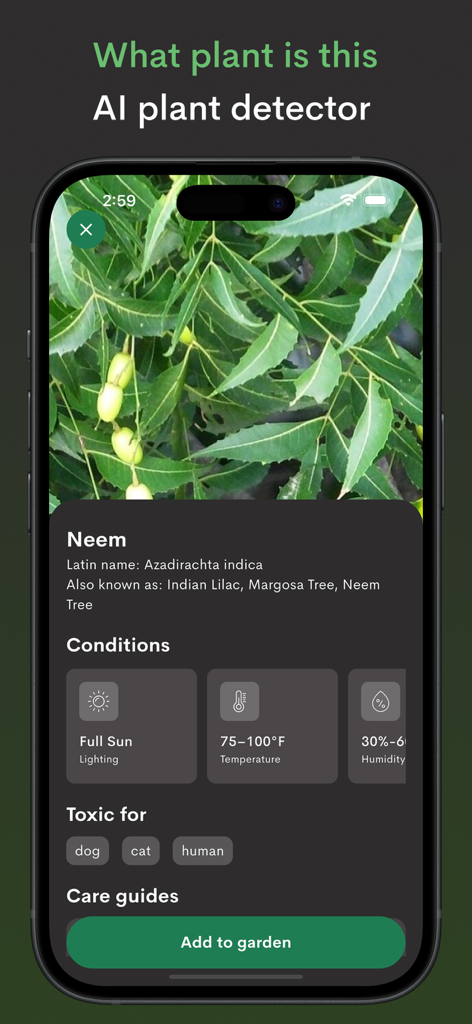 Plantix- Plant Leaf Identifier - Plantix app interface showing identified Neem plant with lighting and temperature care guides