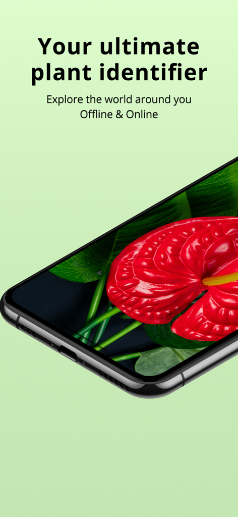 Un smartphone affichant une fleur rouge sur l'application Plantion avec le texte Votre identifiant de plante ultime