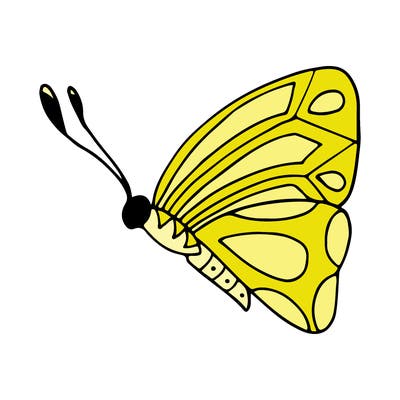 animals_02