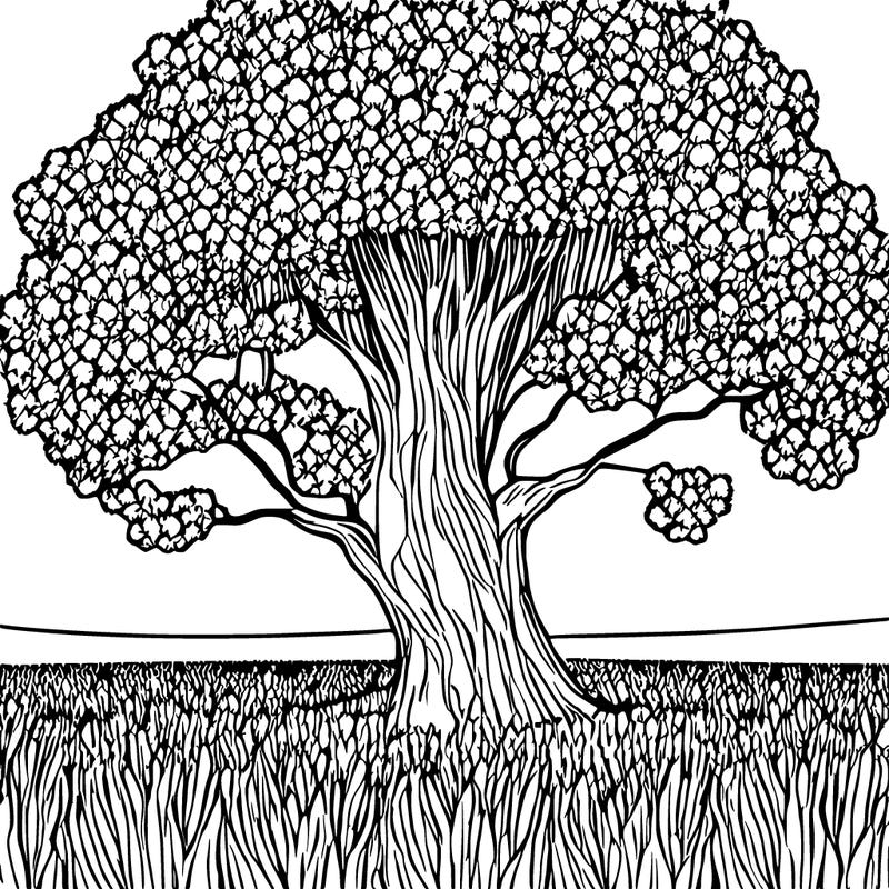 field of blooming flowers with a large tree