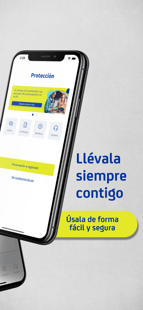 Protección - Interface of the Proteccion app on a smartphone showing financial management options