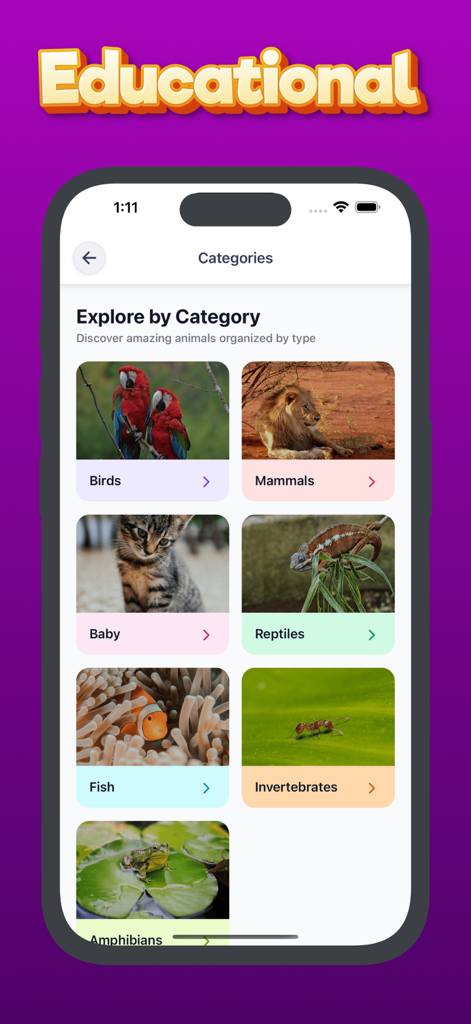 Animal Sounds & Bird Noises - Educational mobile app interface showing animal categories with high quality photos