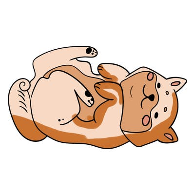 animals_30