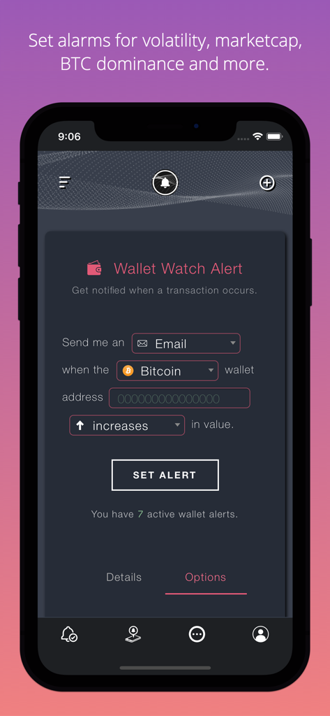 Smartphone screen showing the setup for a Bitcoin wallet watch alert with email notification options in the Cryptocurrency Alerting app.