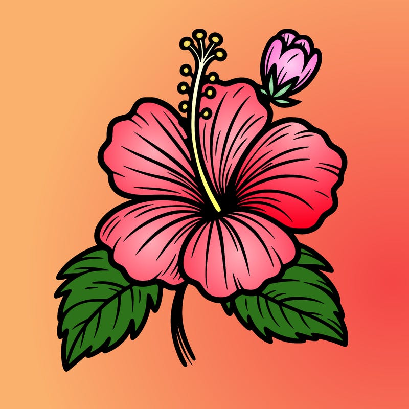 hibiscus flower