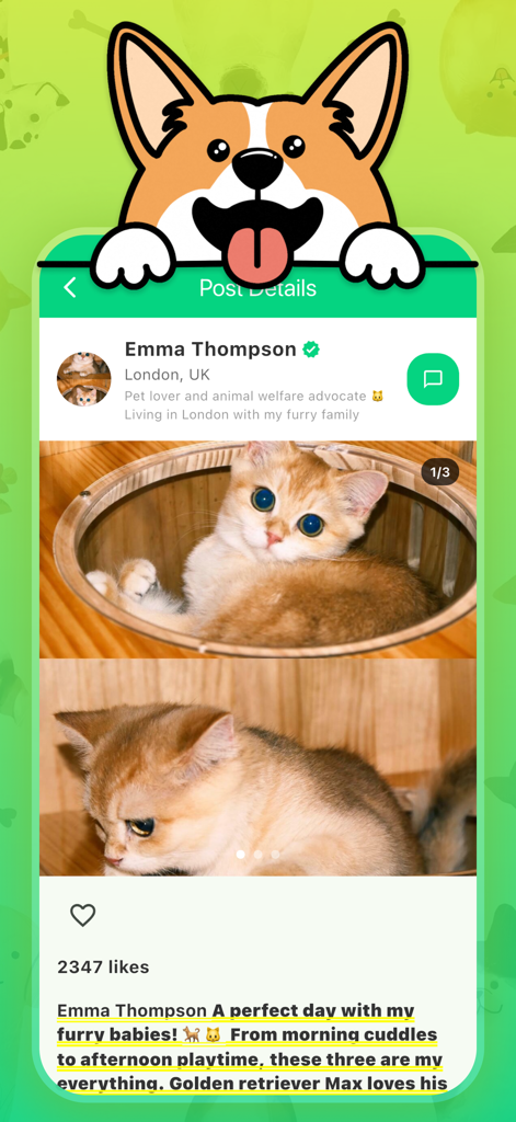 Jexhor - Jexhorペットコミュニティアプリのインターフェース。かわいい子猫の詳細な投稿に「いいね！」とユーザープロファイル情報が表示されています。