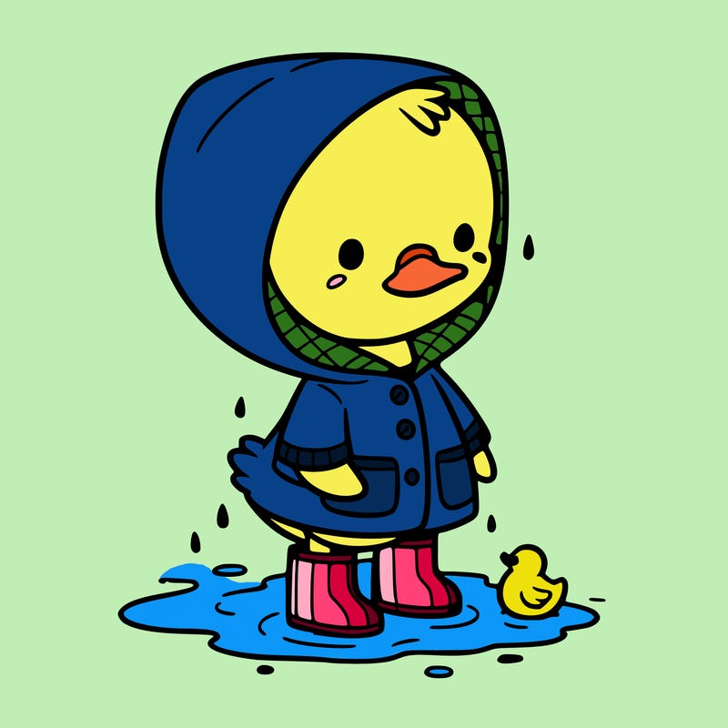 baby duck in a rain coat and boots, in a puddle while it’s raining