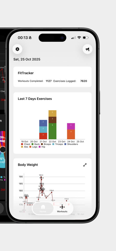 Dashboard of FitTracker app showing workout statistics and progress charts for weight and exercises