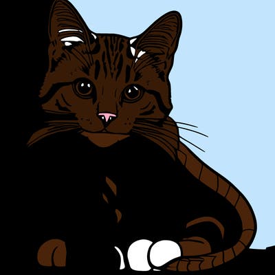 realistic domestic cat