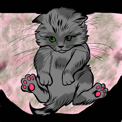 animals_20