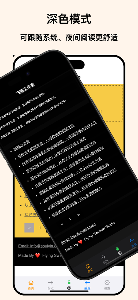 L'interface de l'application H5 Web Browser sur smartphone montrant la fonction de mode sombre pour une lecture nocturne confortable.