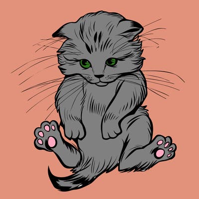 animals_20