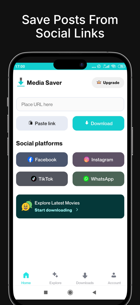 Maxbox - Maxbox app interface showing the Media Saver feature for downloading social media content from links like TikTok and Instagram