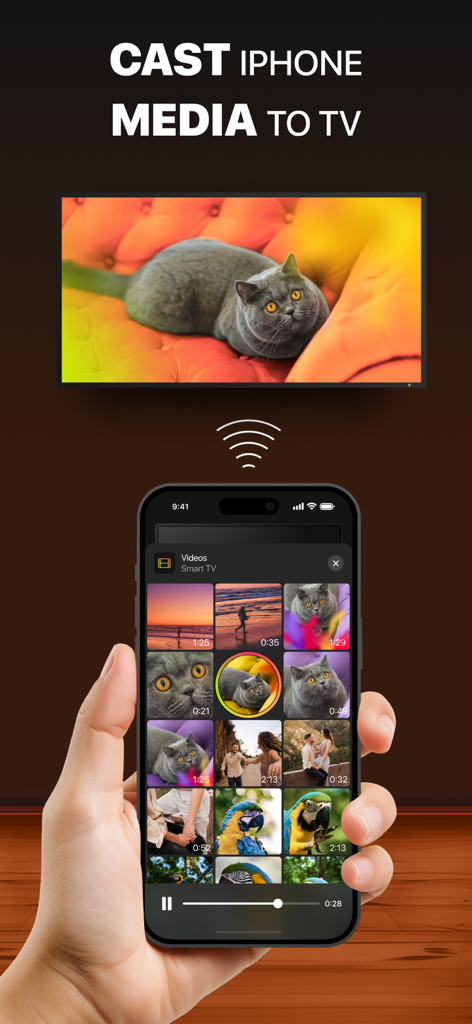 iPhone에서 스마트 TV로 고양이 동영상을 전송하는 모습