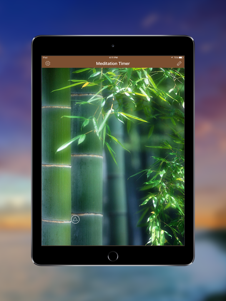 Meditation Timer per iPad che mostra uno sfondo rilassante di foresta di bambù