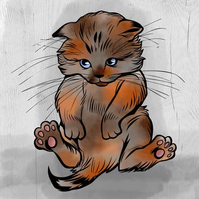 animals_20