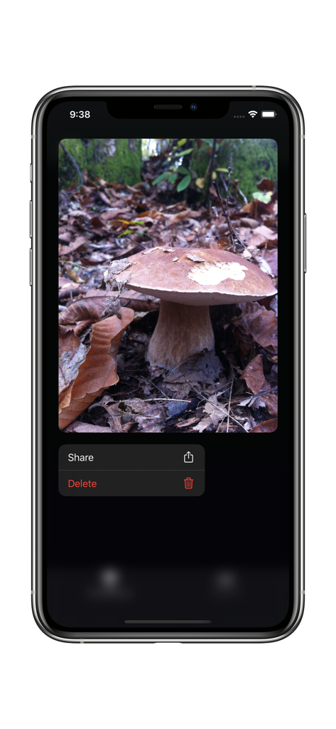 Track My Mushrooms - iPhone screen showing a mushroom photo with share and delete options in the Track My Mushrooms app.