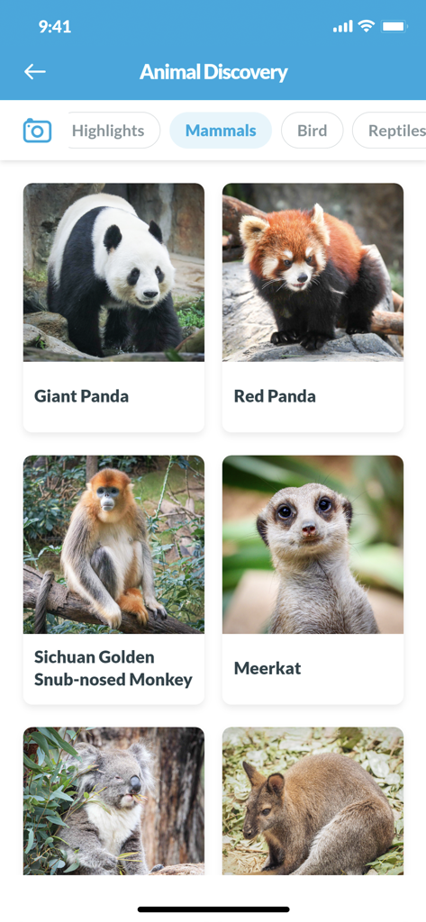 Ocean Park Hong Kong - The Animal Discovery screen of the Ocean Park Hong Kong app featuring mammals like giant pandas red pandas and meerkats