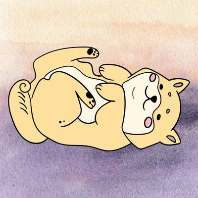 animals_30