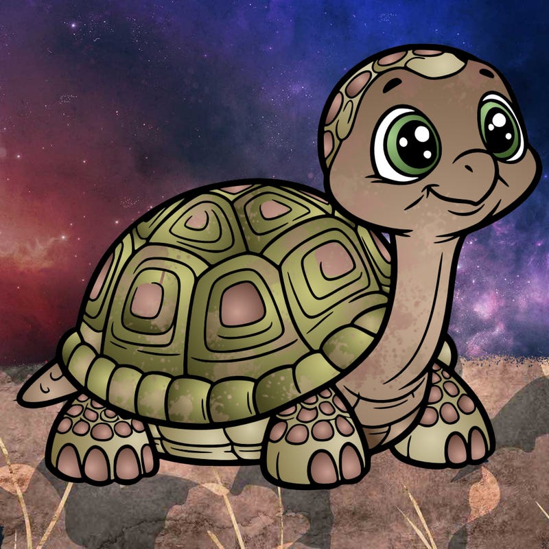 tortoise