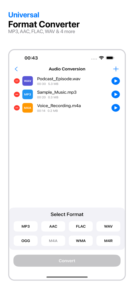 SonicForge - Audio Editor - Interface of SonicForge app showing audio conversion options for formats like MP3 WAV and FLAC