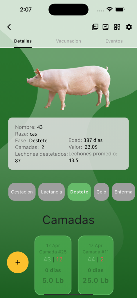 Porcicultor: Gestor de cerdos - Interfaz de la aplicación Porcicultor que muestra registros detallados de un cerdo individual, incluida la raza, la edad y las estadísticas de la camada