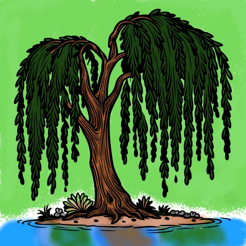 weeping willow