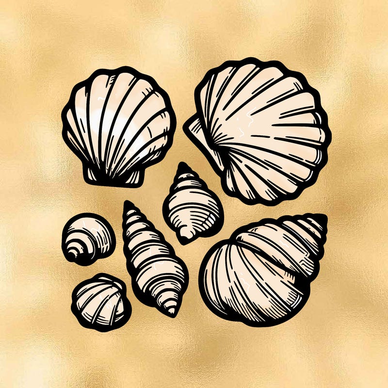shells