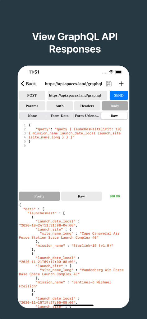 REST API Clientアプリ内でGraphQL POSTリクエストとJSONレスポンスが表示されたインターフェース