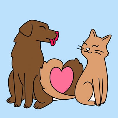 animals_22