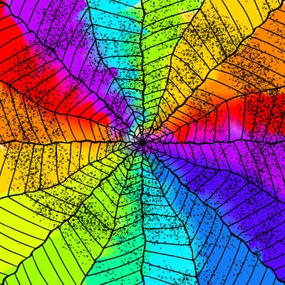 patterns_05