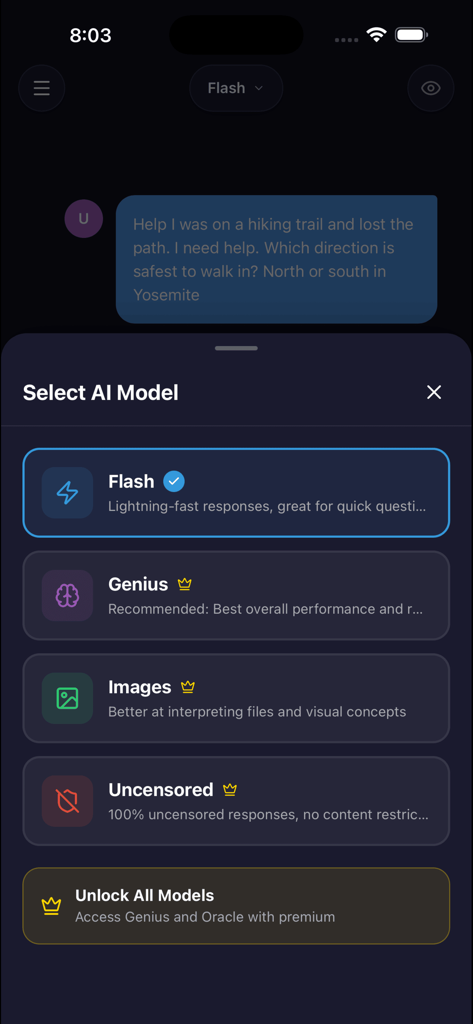OfflineGPT - Offline & Private - Die OfflineGPT-App-Oberfläche zeigt das Auswahlmenü für lokale KI-Modelle, einschließlich Flash, Genius und Uncensored Optionen.