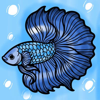 betta fish