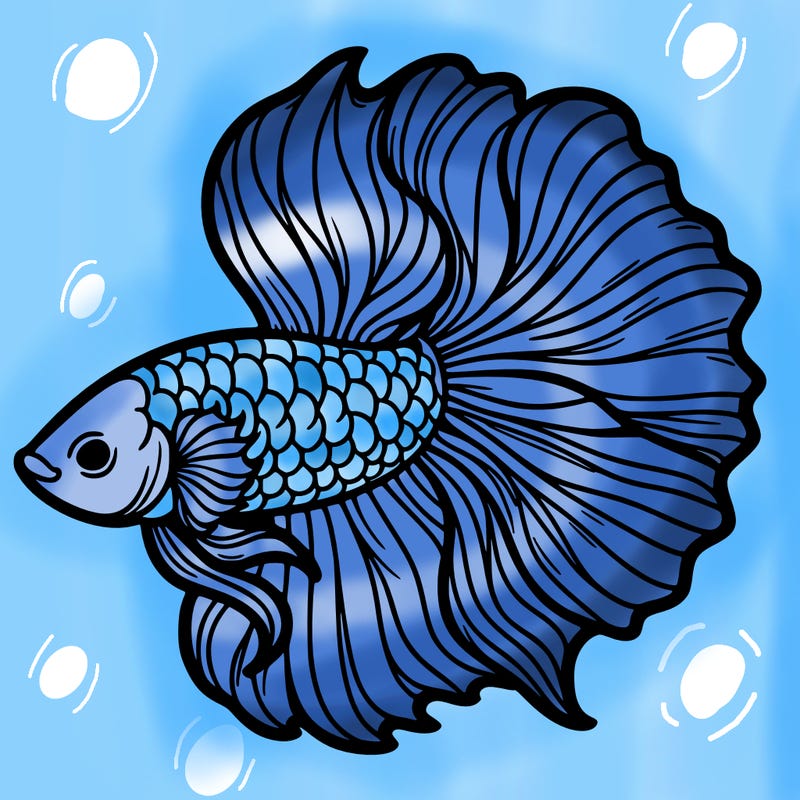 betta fish