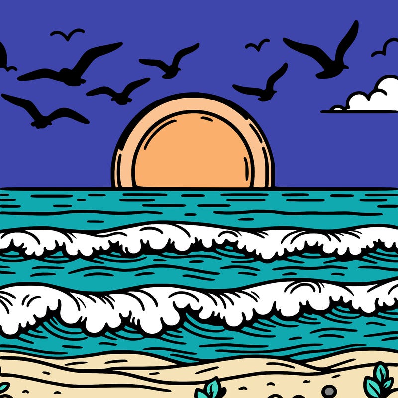 sunset with ocean and has birds