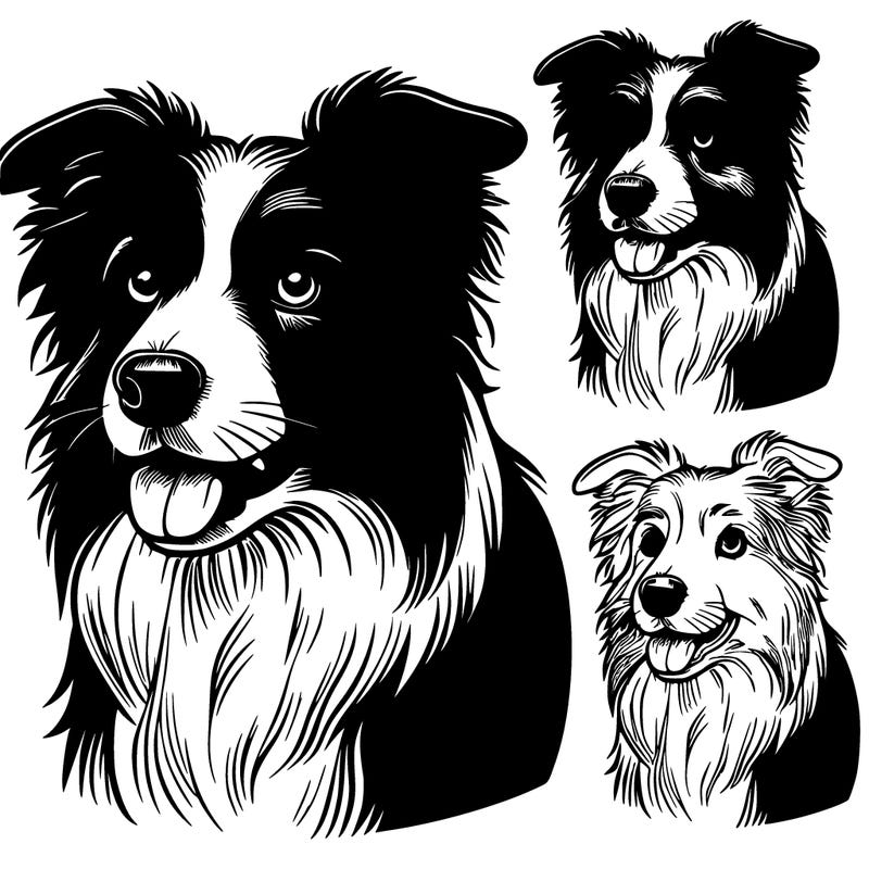 realistic border collie