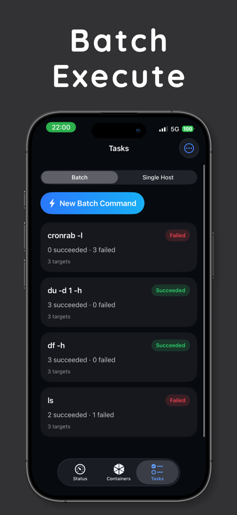 Interfaz de la aplicación Termi mostrando resultados de ejecución de comandos por lotes para múltiples servidores