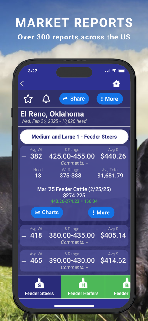 Cattle Market Mobile - Screenshot of Cattle Market Mobile app showing a livestock market report for El Reno Oklahoma featuring feeder steer prices and data