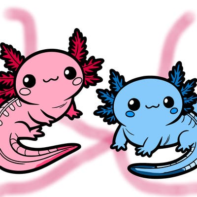 cute axolotls