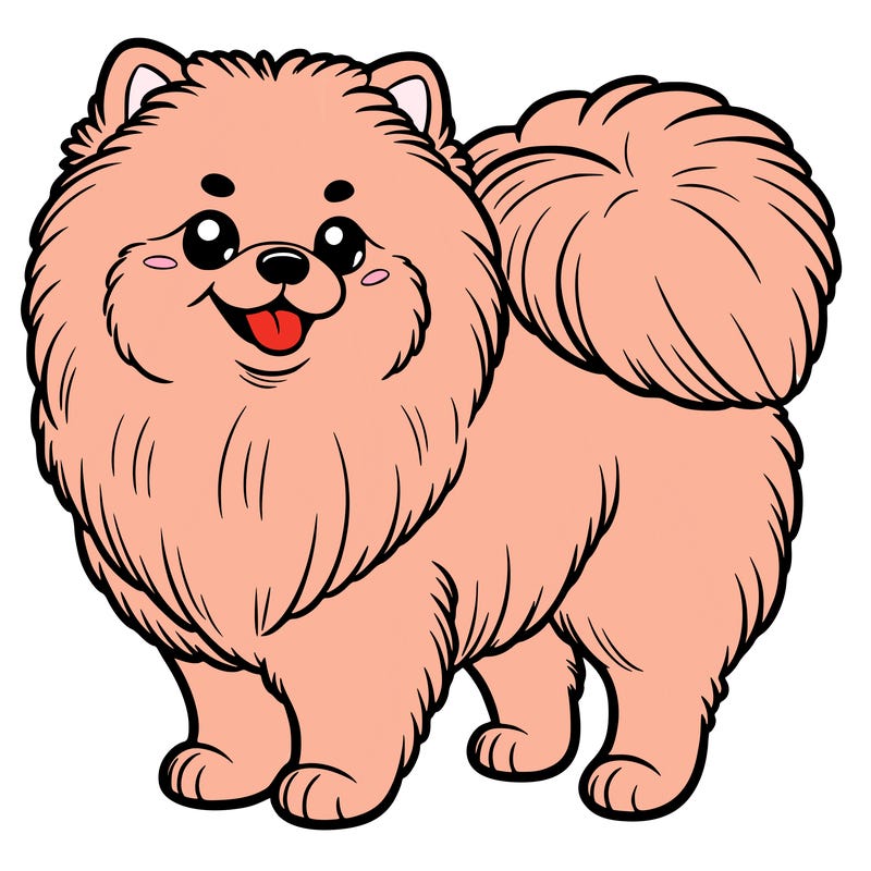 pomeranian