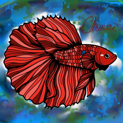 betta fish