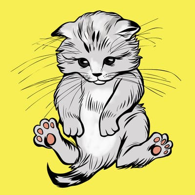 animals_20