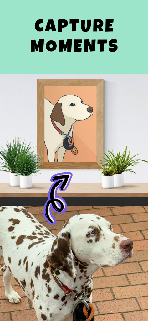 Petdraw: Pet Photo Art Editor - Una foto di un cane reale che viene trasformata in un ritratto artistico digitale incorniciato.