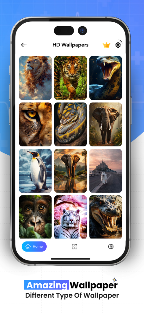 Live HD Wallpapers Background - Una interfaz de aplicación móvil que muestra una cuadrícula de fondos de pantalla de animales y naturaleza de alta definición.